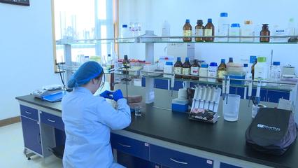 【新時(shí)代 新征程 新偉業(yè)】科技引領(lǐng)新突破 甘州區(qū)兩項(xiàng)生物技術(shù)項(xiàng)目獲省級(jí)重大專項(xiàng)立項(xiàng)